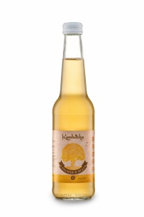Kombucha с имбирём и мёдом INTERKVASS® 0,33 л фото 1
