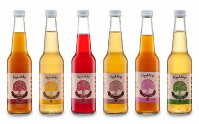 Kombucha классический INTERKVASS® 0,33 л фото 2