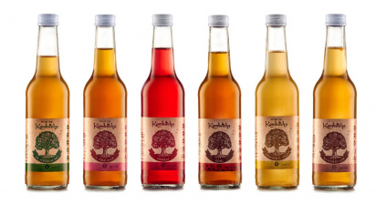 Kombucha с имбирём и мёдом INTERKVASS® 0,33 л фото 3