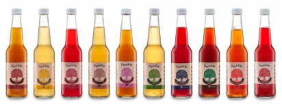 Kombucha кофе INTERKVASS® 0,33 л фото 3