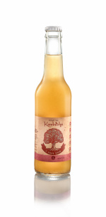 Kombucha с Иван-Чаем INTERVASS® 0,33 л фото 2